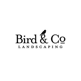 Brand Identities / Logos / Wordmarks