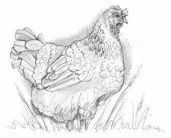 Pencil and Ink