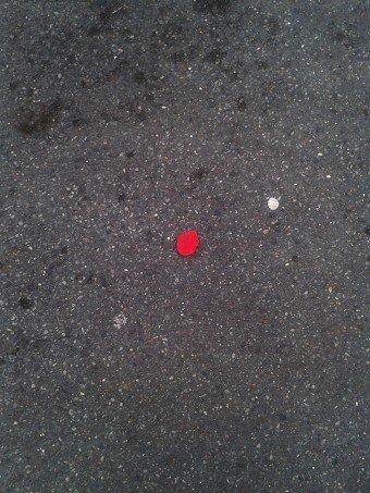 Rose Petal on Concrete