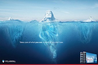 Polarkrill Branding Campaign