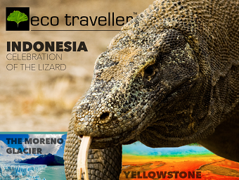 eco traveller