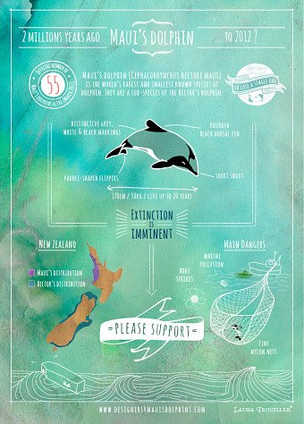 Designers for Maui's dolphins