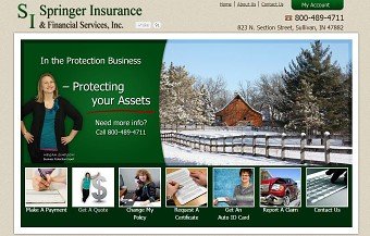 Springer Insurance