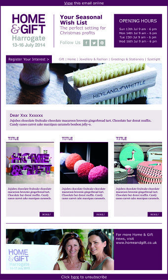 HTML Newsletter
