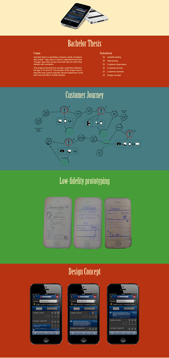Bachelor Thesis