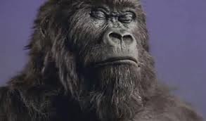 Cadbury Schweppes Gorilla Flake advert