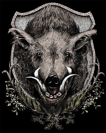 'Boar' T-shirt Design