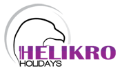 Logo and Graphic Designs