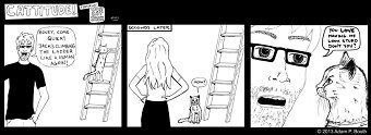 Cattitude!
