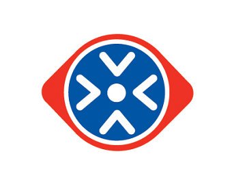 Transformtion Leaders/Top Interim Branding