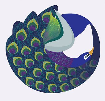 peacoc