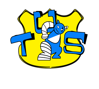 logo design for a football team