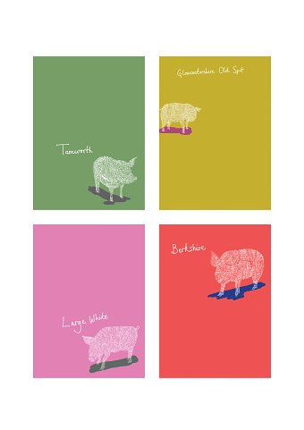 Rare Pig Breeds