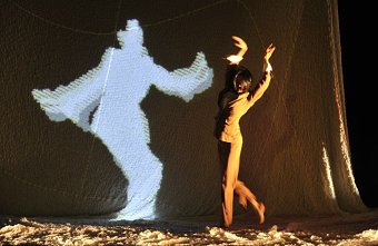Animus Femina