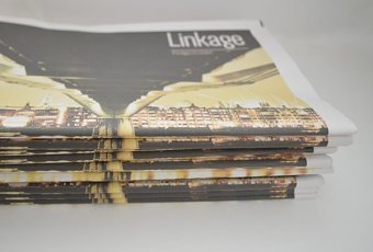 Structure in the city - Brigdes Linkage