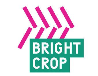 Bright Crop, brand naming and creation