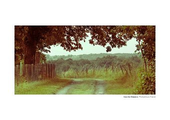 Daniel Brightmore Portfolio