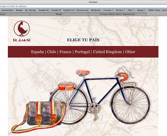 Banners and web design - El Ganso