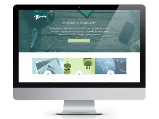 WordPress Website