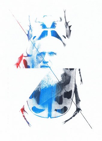 screen prints