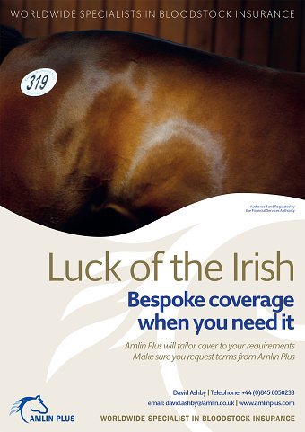 Amlin Bloodstock Ads