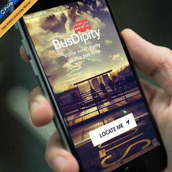 BusDipity