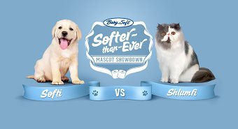 Babysoft: Softi vs Shlumfi