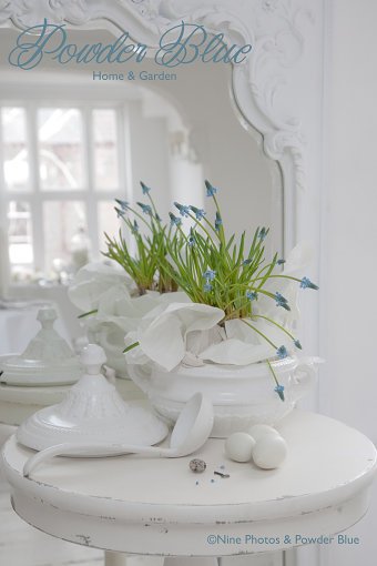 A Spring Arrangement