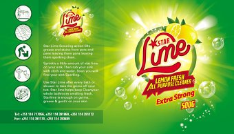 lemi