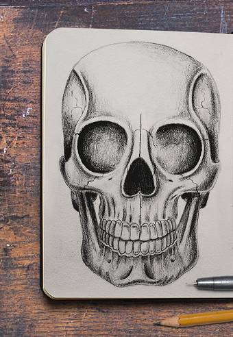 Anatomy Sketches