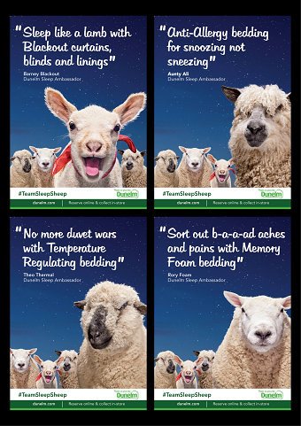 #TeamSleepSheep