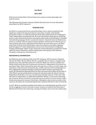 Literature Criticism Series