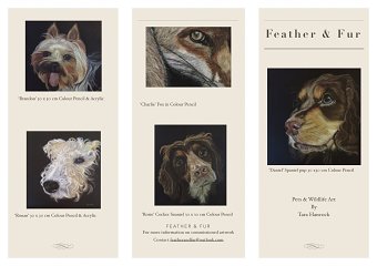 Promotional flyers-leaflets for feather & fur