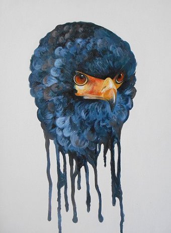 Birds of prey, personal project