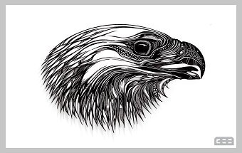 Hand illustration