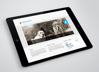 Kingswellls Canines Logo & Identity Design