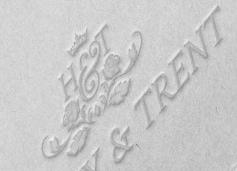Luxury Brand Logo Design
