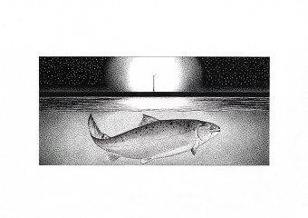 Editorial Illustrations
