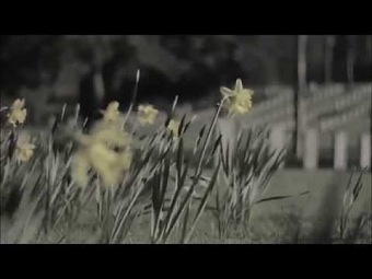 Showreel