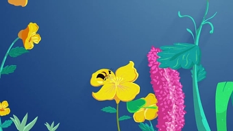 Unilever Sustainability