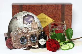 Hendrick’s Hypnagoggles