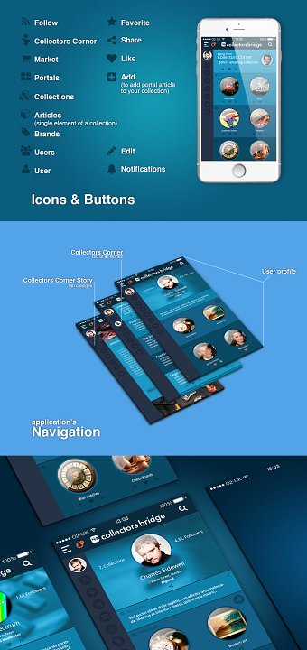 Collectors Bridge Social Network App