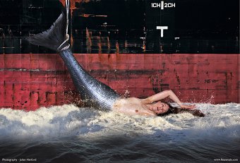 Animal Rights Campaign for Vegan Activist