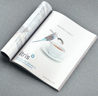 itris Print Advertising Campaign