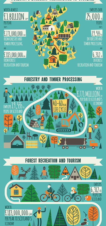 Forestry Infographic