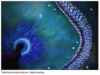 Sighting the Siphonophore