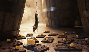 Mouse Traps "Above"