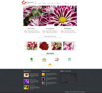  Website Design Template and Logo's