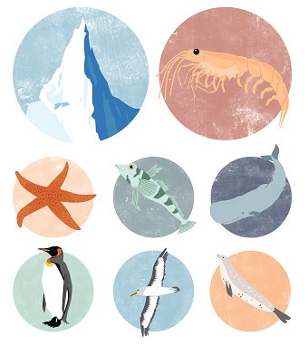 Arctic ocean