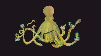 Sea creatures